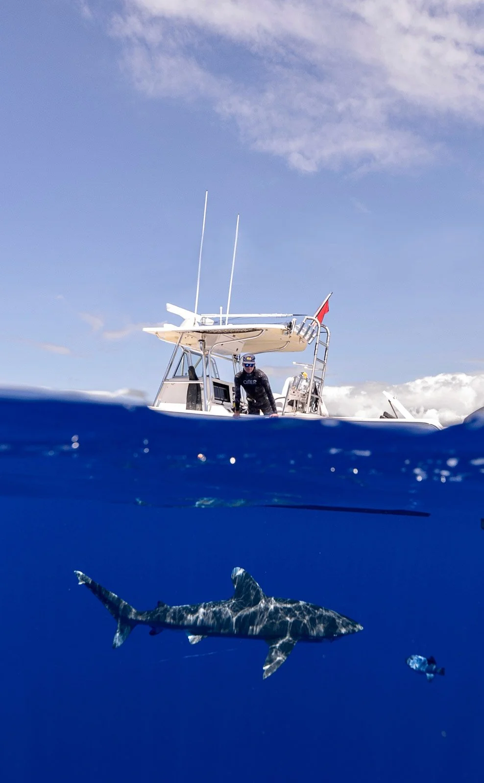 About the Big Island's premier Whale Watch and Snorkel Company